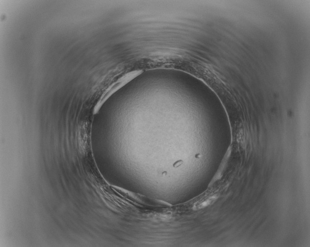 X0000064750868200602171730