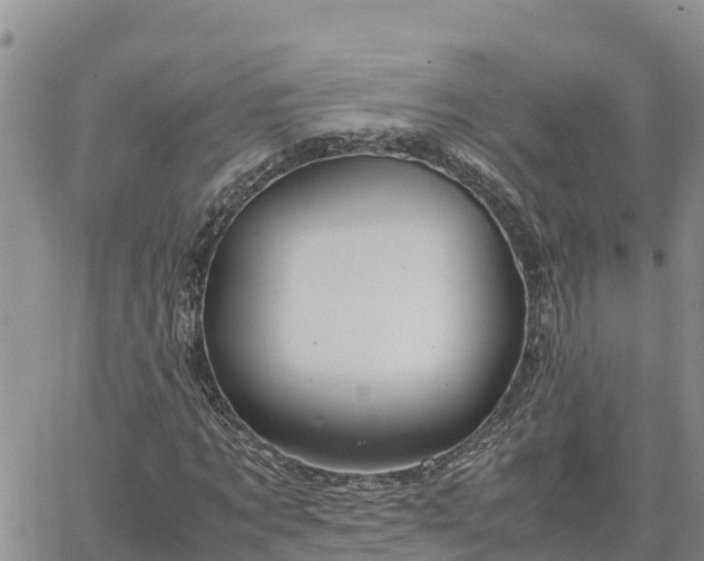 X0000064750869200602171730