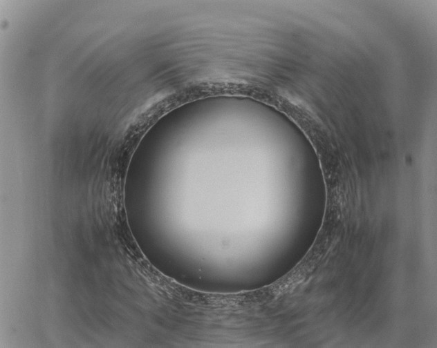 X0000064750870200602171730