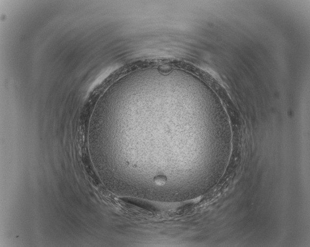 X0000064750871200602171730