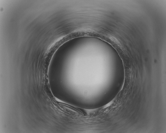 X0000064750872200602171730