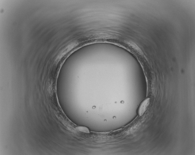 X0000064750873200602171730