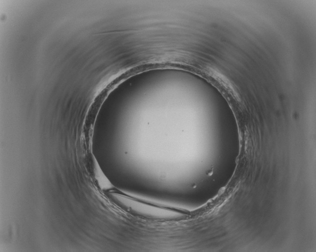 X0000064750876200602171730