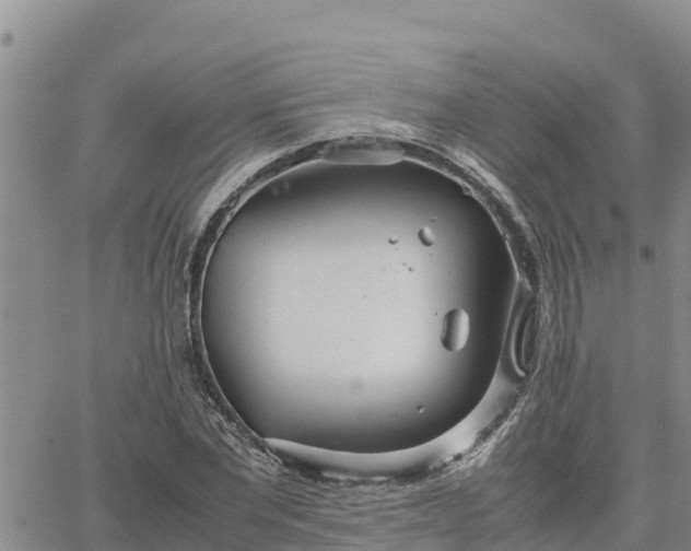 X0000064750877200602171730