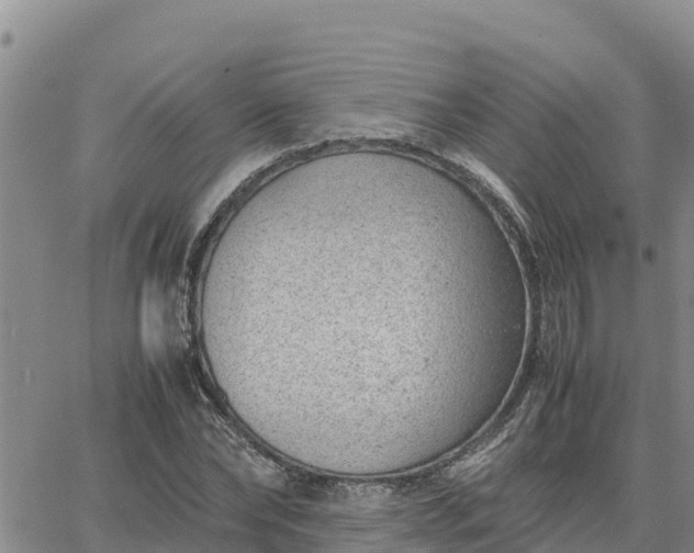 X0000064750878200602171730