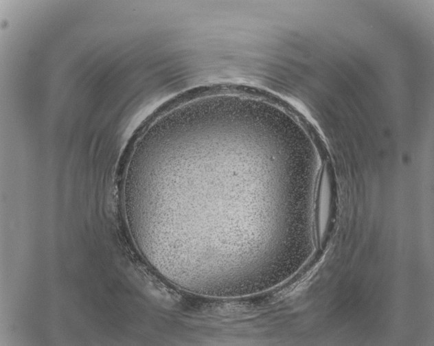 X0000064750879200602171730