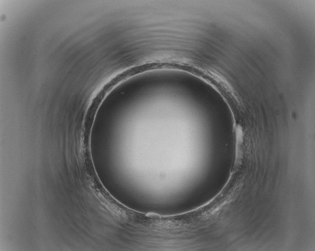 X0000064750880200602171730