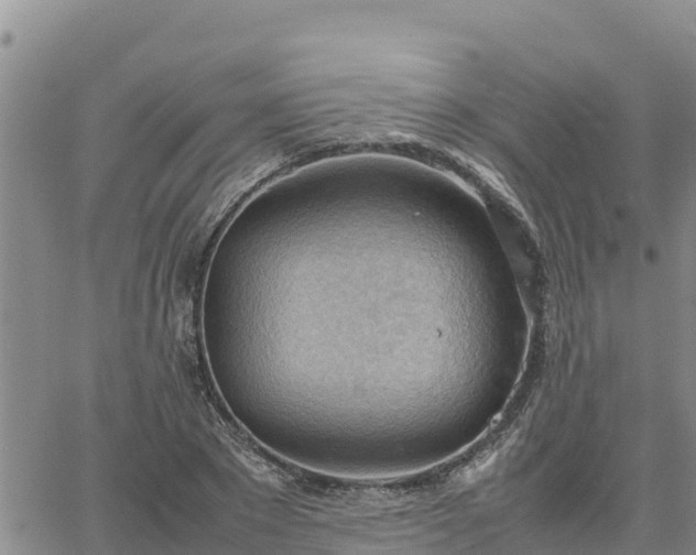 X0000064750881200602171730