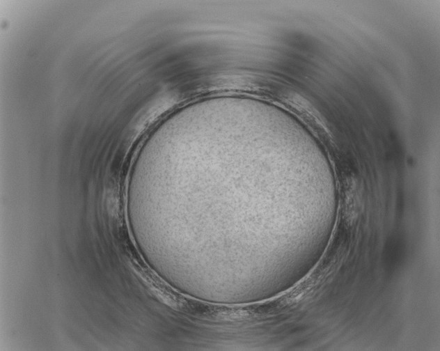 X0000064750882200602171730