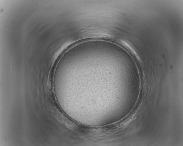 X0000064750883200602171730