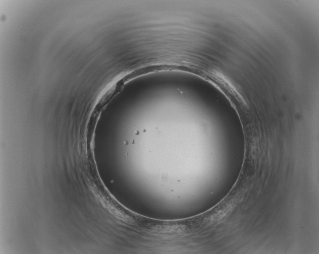 X0000064750884200602171730