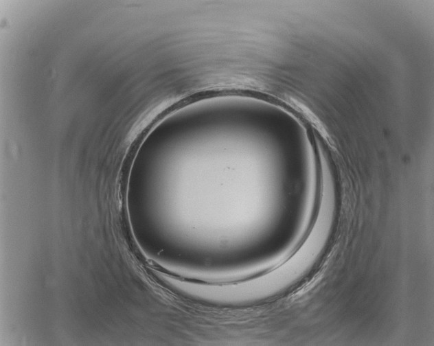 X0000064750885200602171730