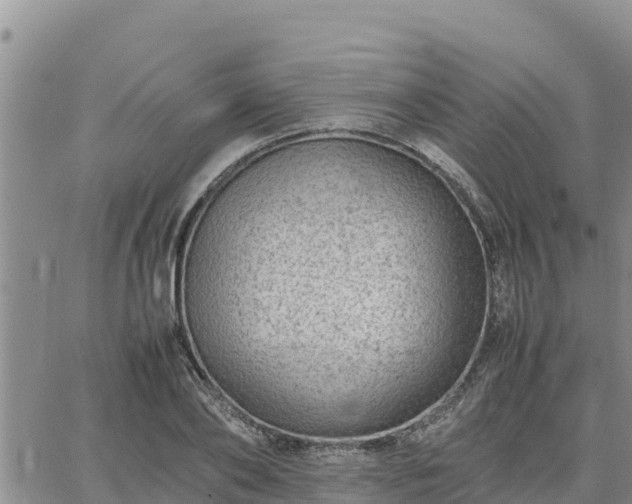 X0000064750886200602171730