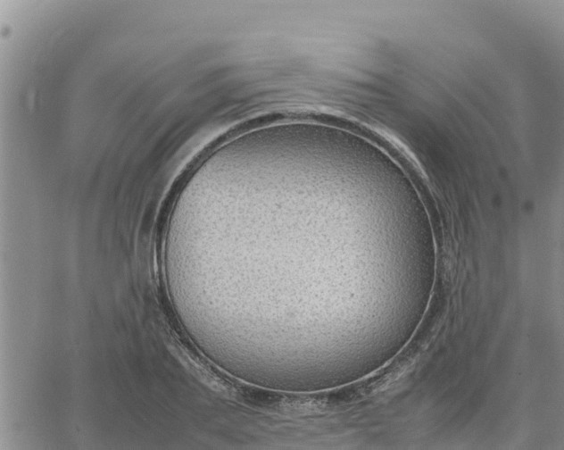 X0000064750887200602171730