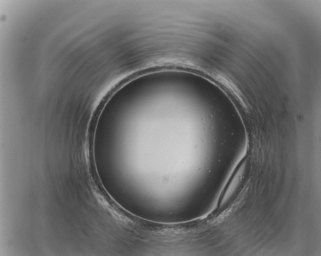 X0000064750888200602171730