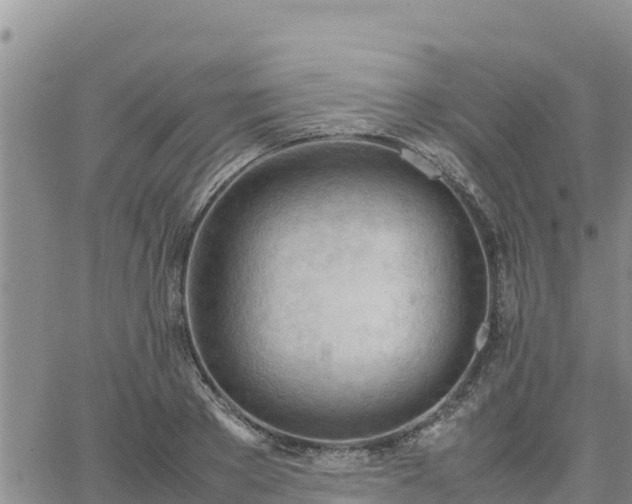 X0000064750889200602171730