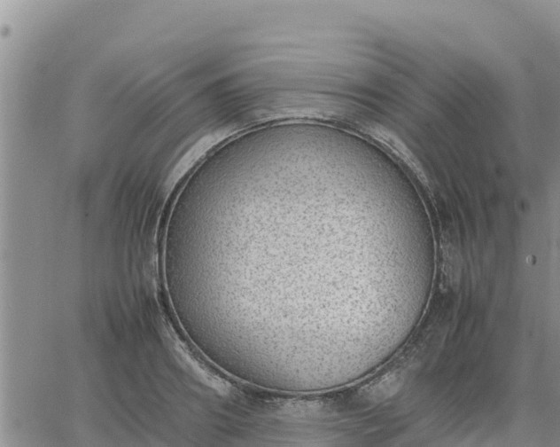 X0000064750890200602171730