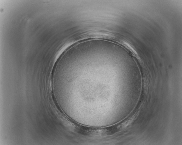 X0000064750891200602171730