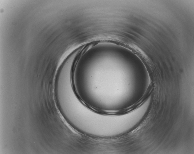 X0000064750894200602171730