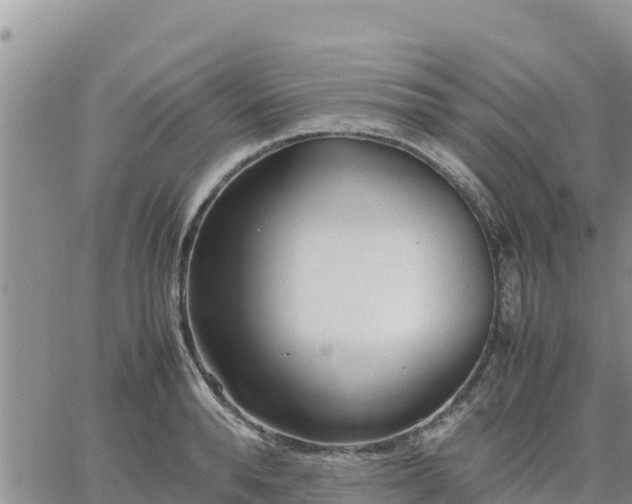 X0000064750896200602171730