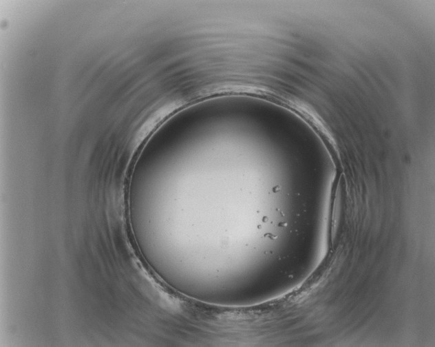 X0000064750898200602171730