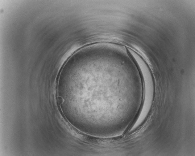 X0000064750899200602171730