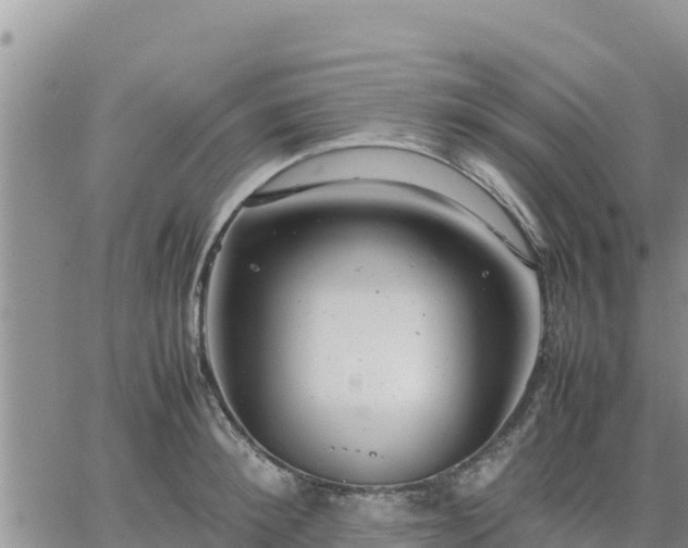 X0000064750900200602171730