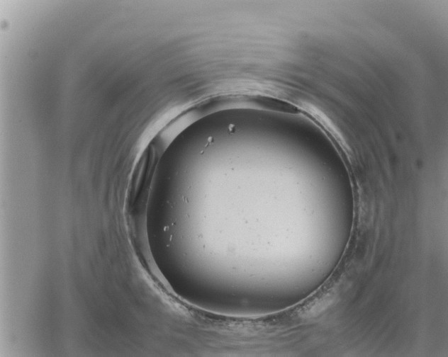 X0000064750901200602171730