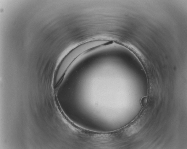 X0000064750902200602171730