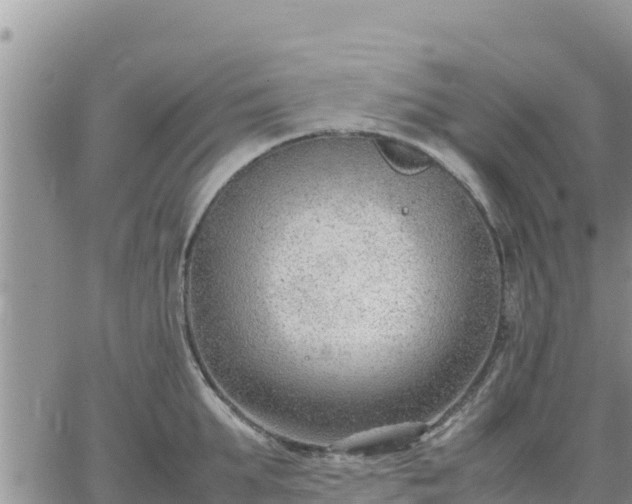 X0000064750903200602171730