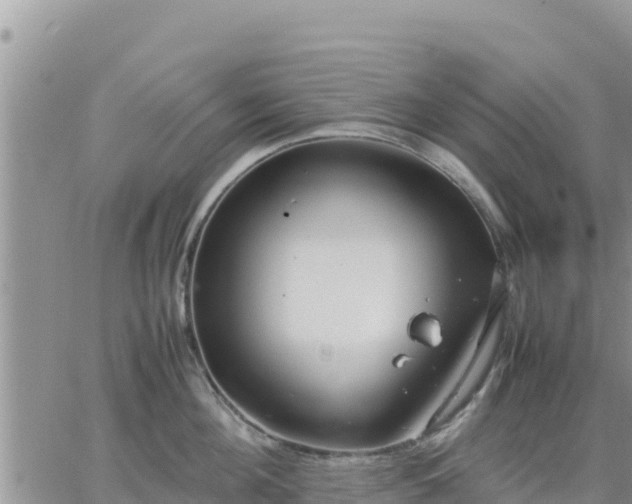 X0000064750908200602171730