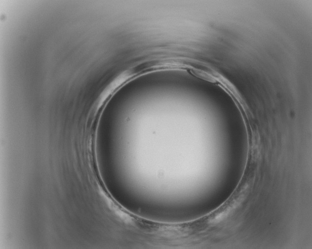 X0000064750909200602171730