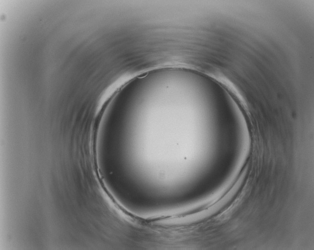 X0000064750910200602171730