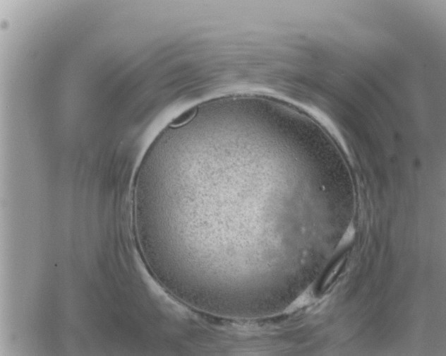 X0000064750911200602171730