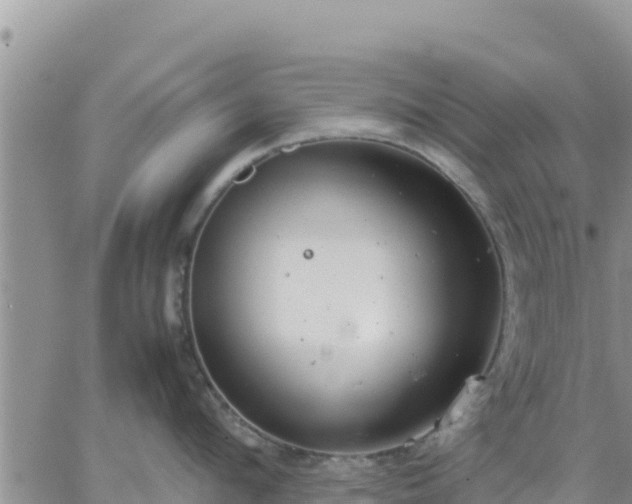 X0000064750912200602171730