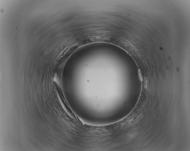 X0000064750915200602171729