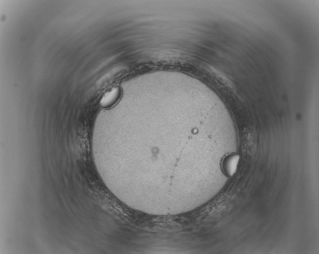 X0000064750918200602171729