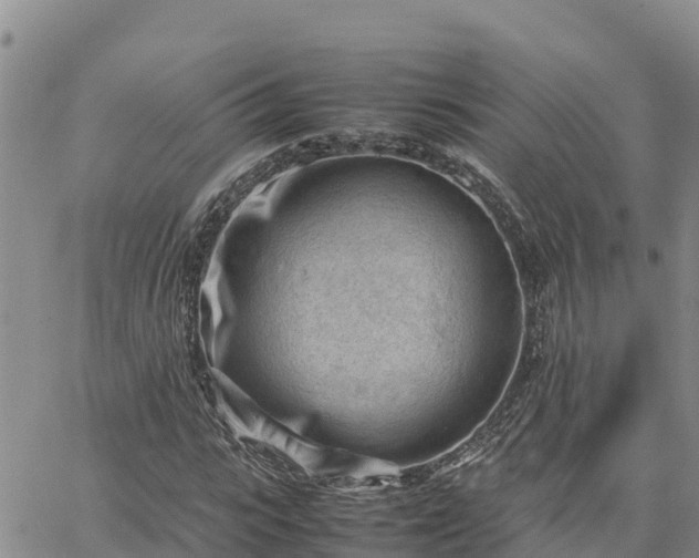 X0000064750919200602171729