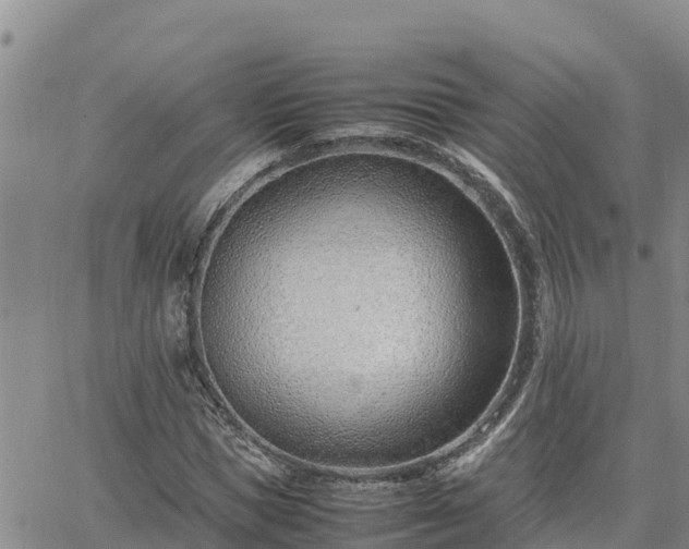 X0000064750921200602171729