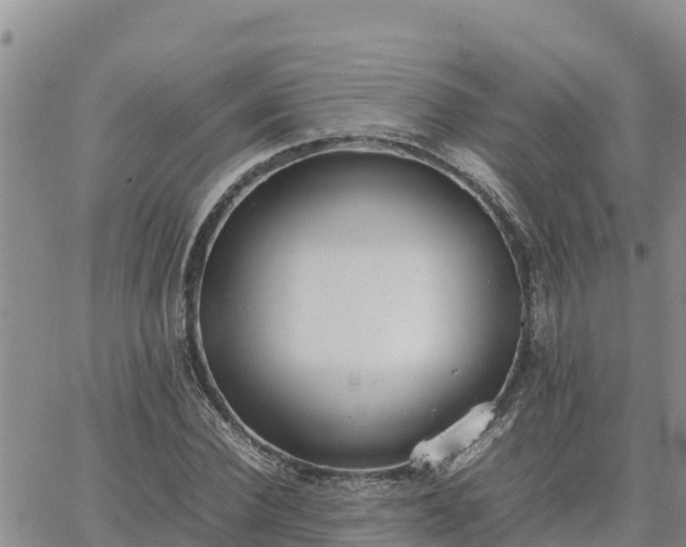 X0000064750924200602171729