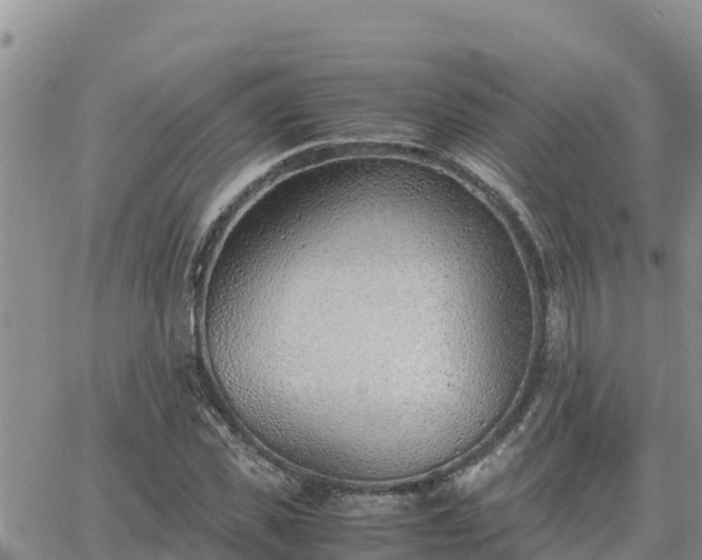 X0000064750925200602171729