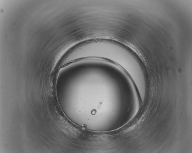 X0000064750926200602171729