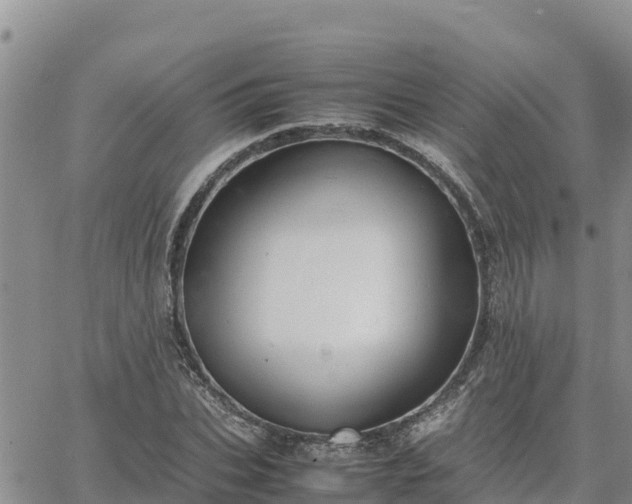 X0000064750927200602171729