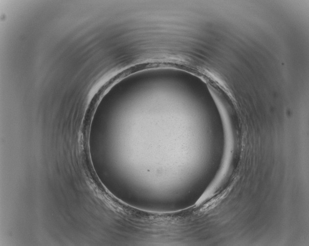 X0000064750928200602171729