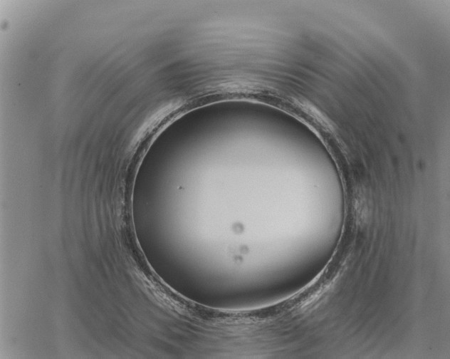 X0000064750930200602171729