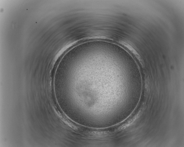 X0000064750933200602171729