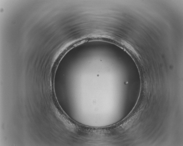 X0000064750934200602171729