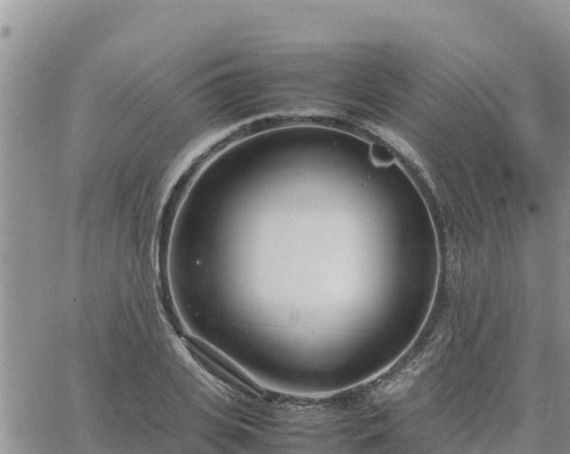 X0000064750935200602171729