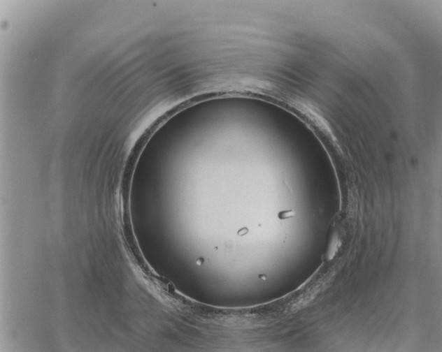 X0000064750936200602171729