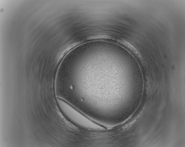 X0000064750937200602171729